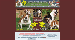 Desktop Screenshot of englishbulldogpuppychase.com
